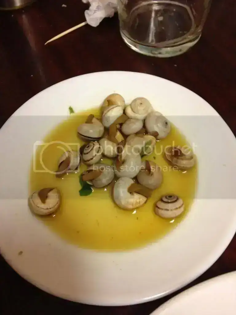 IMG_1575_zpsc4c8b119.webp