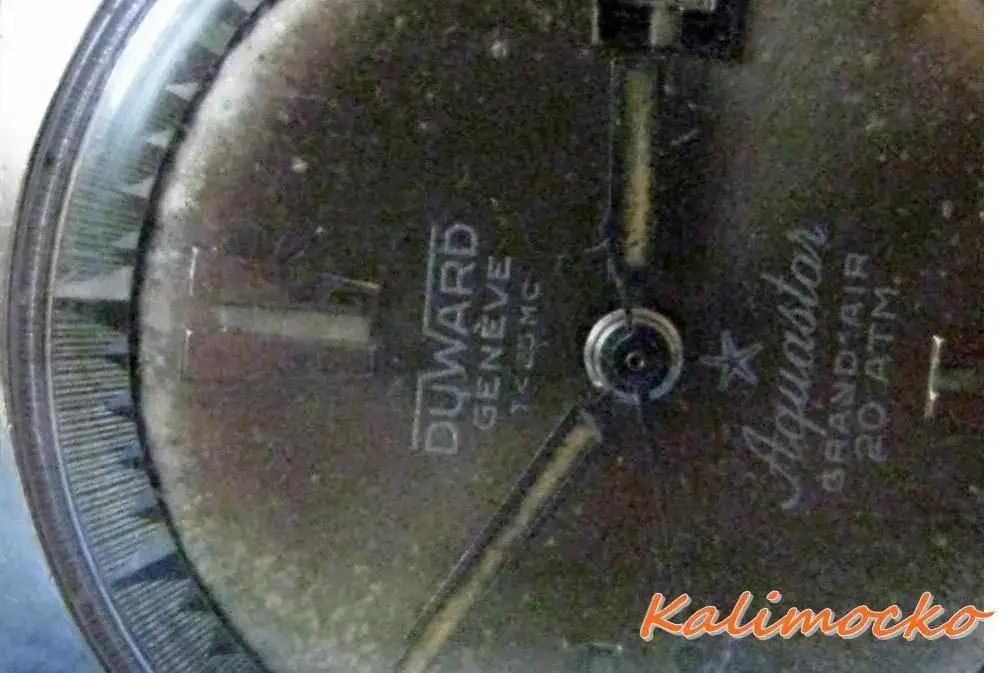 IMG_1655 - copia.webp