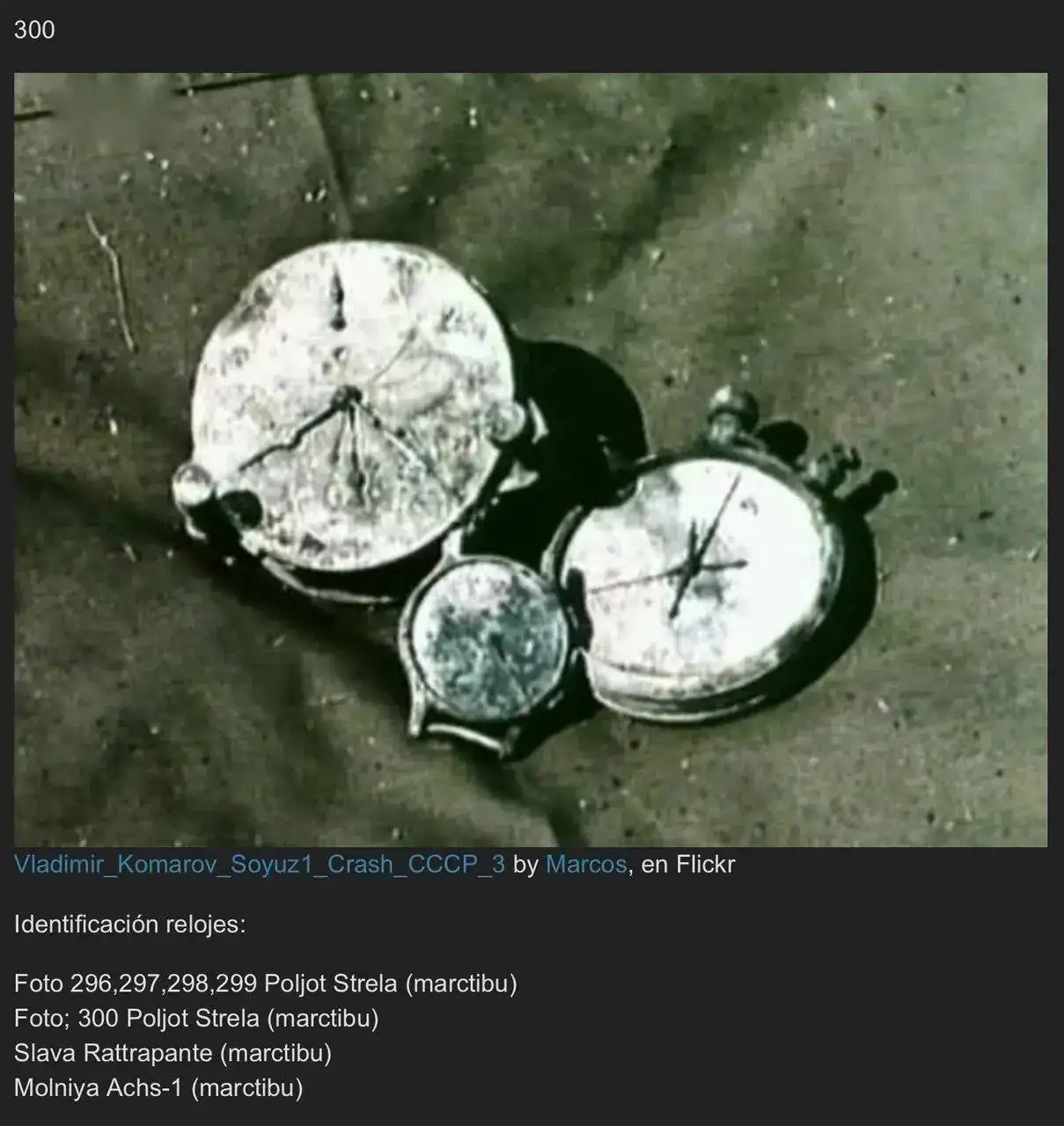 IMG_1655.jpeg