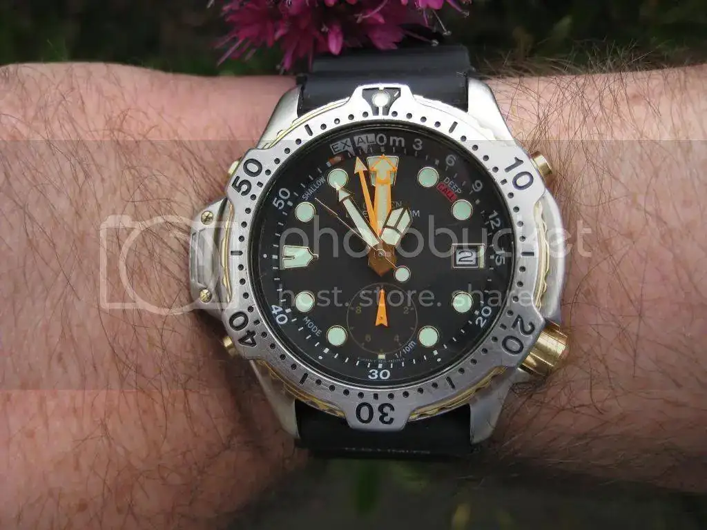 IMG_1697_zpsa41cfb9f.webp