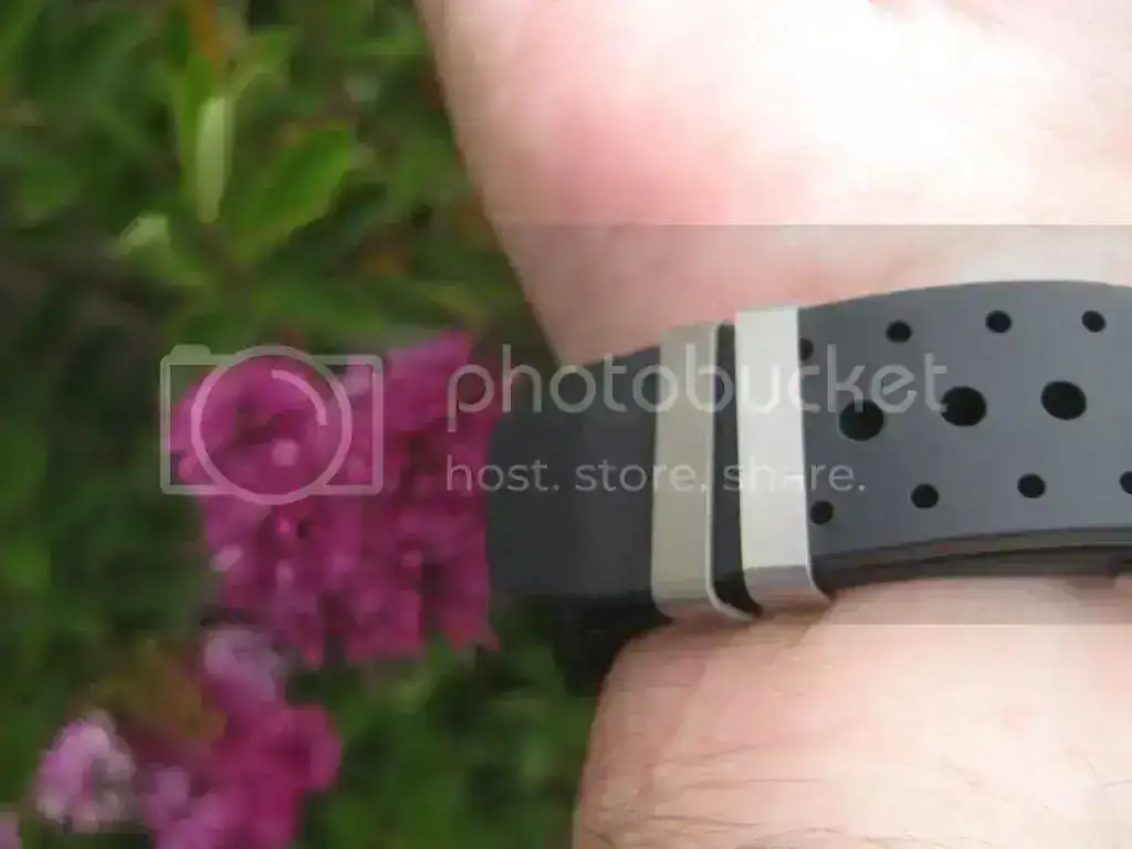 IMG_1700_zps1e9f34ac.webp