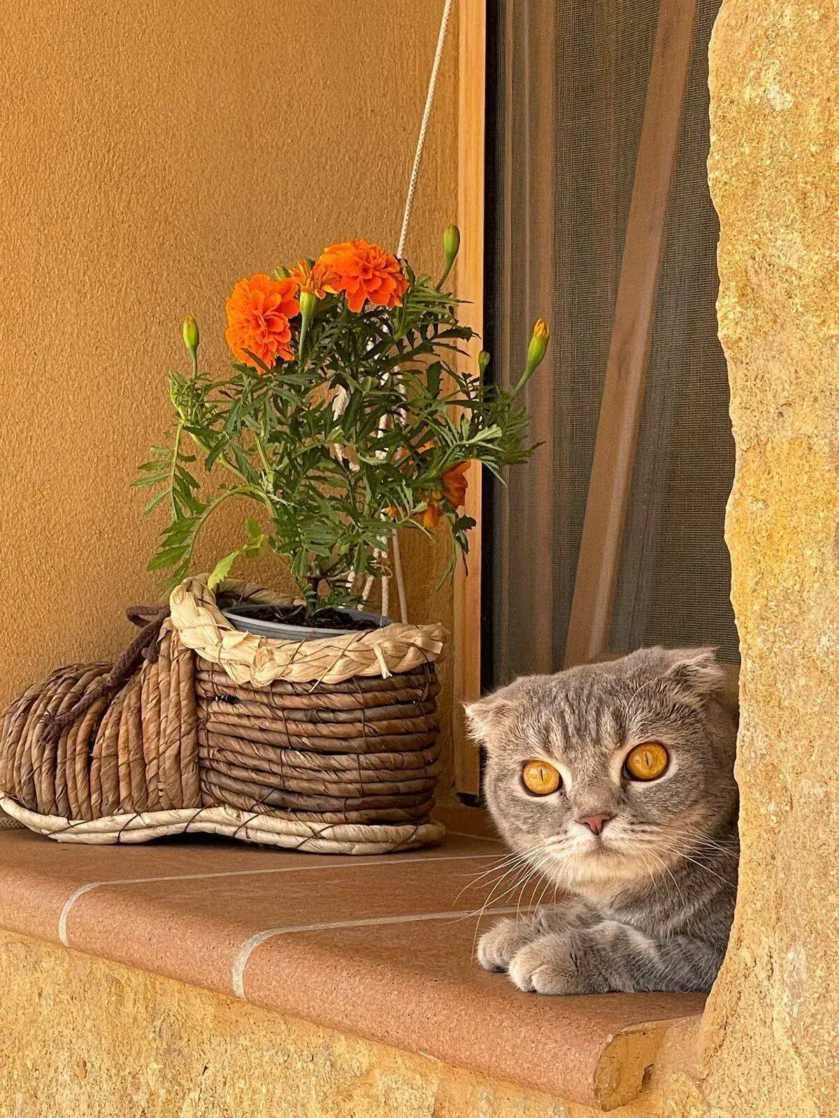 IMG_1720.webp