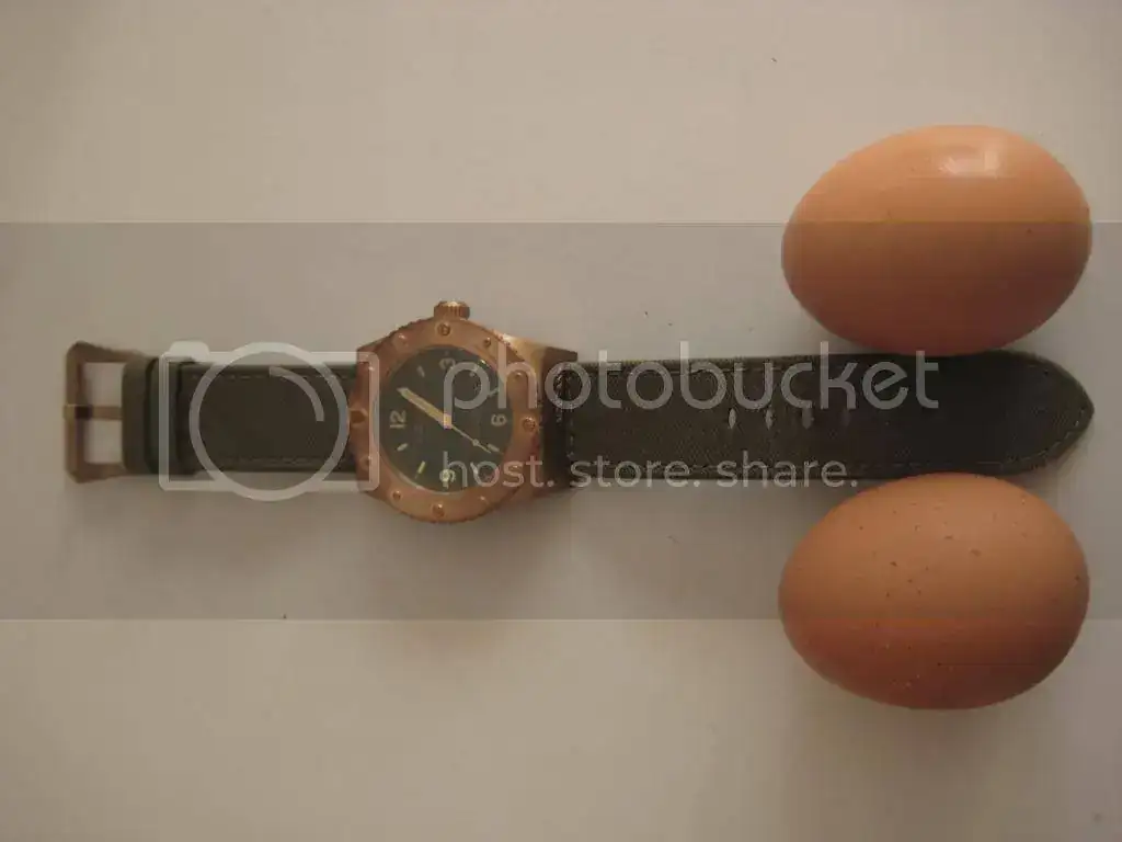 IMG_1872_zps660d9a9f.webp