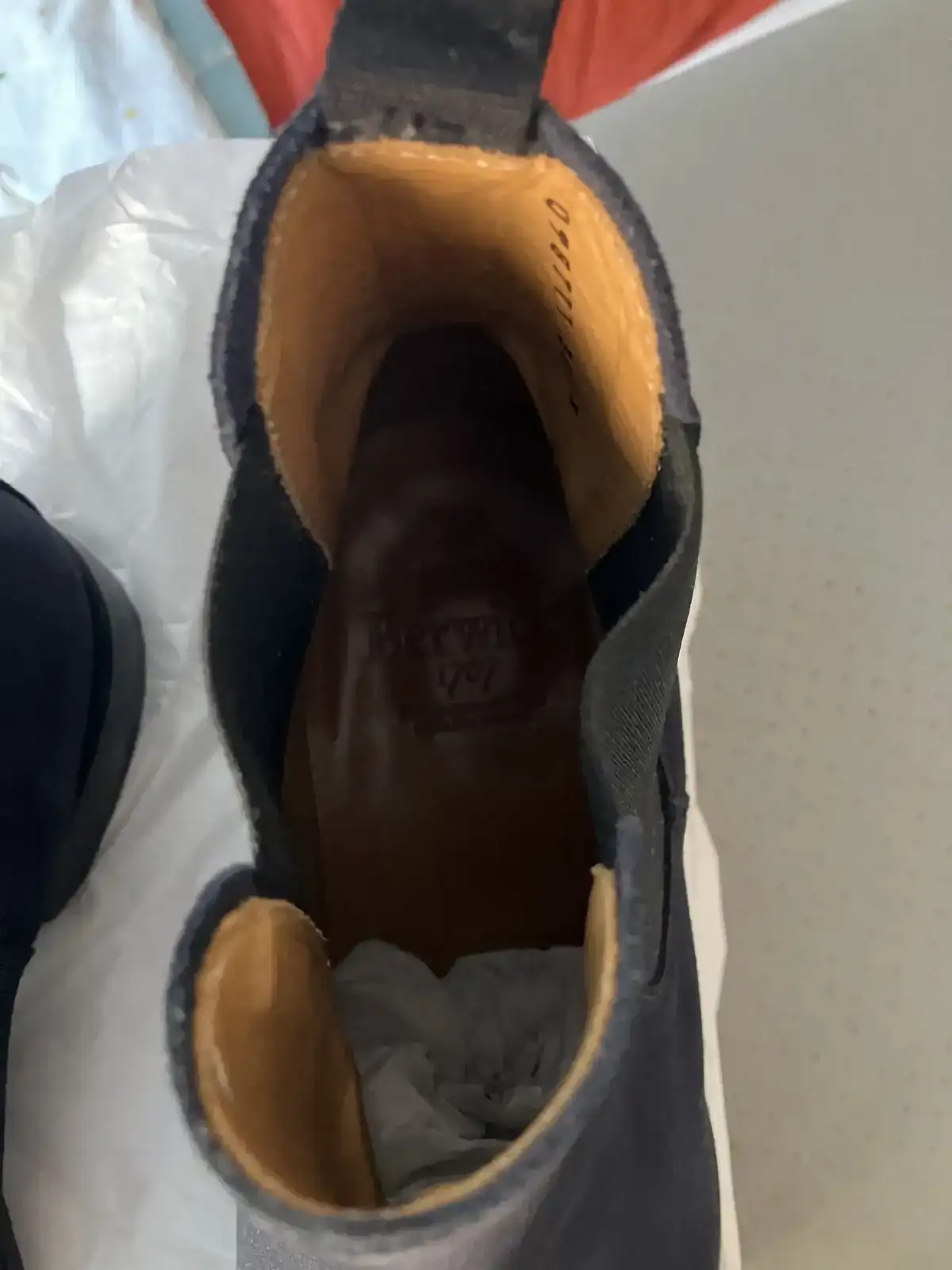 IMG_1916.webp