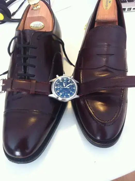 Shell cordovan