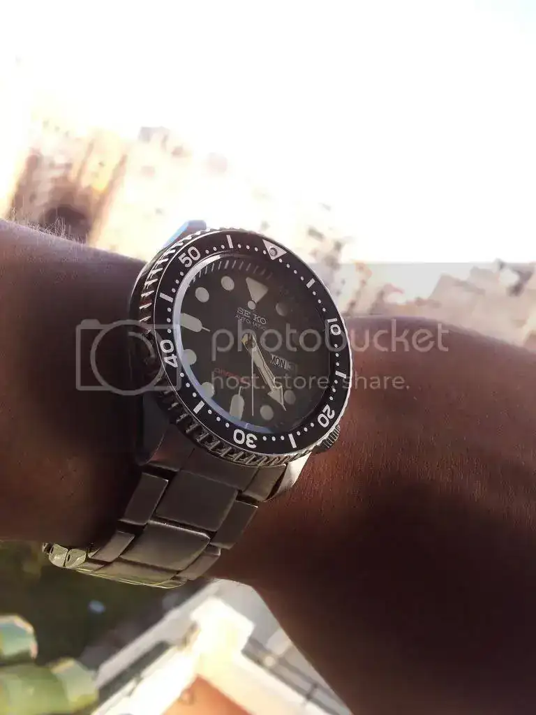 IMG_20111031_162451.webp