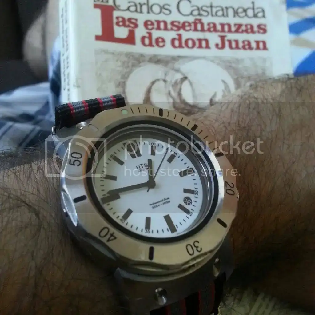 IMG_20121110_131439_zpsa4ab649d.webp