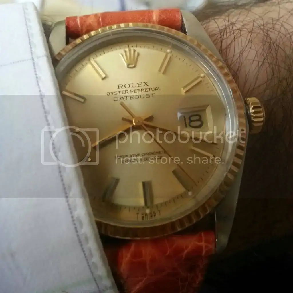 IMG_20121121_083303_zps8ddaea2b.webp