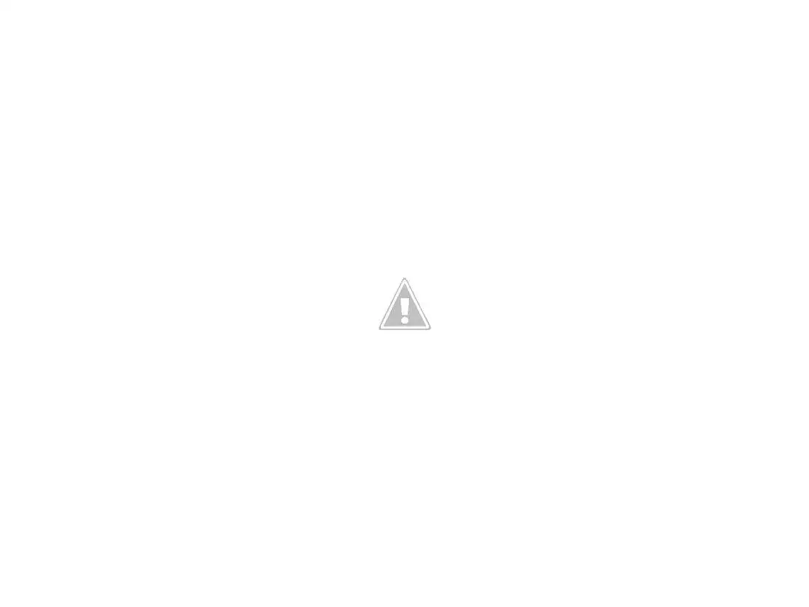 IMG_20140418_014449.webp