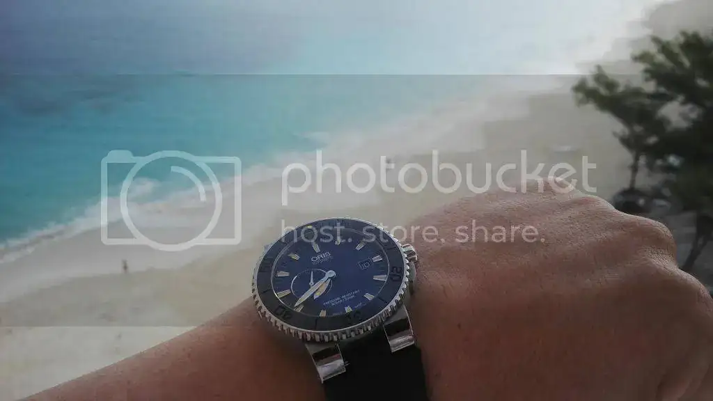IMG_20141110_074125_zpse5112b22.webp
