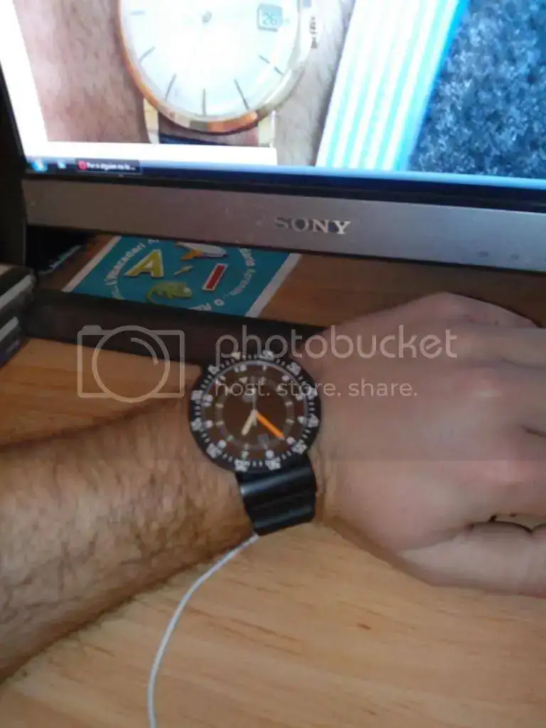 IMG_20141212_072506_zpsbzgnys9b.webp