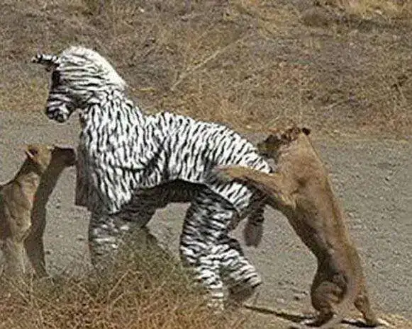IMG_20150529_080443.webp