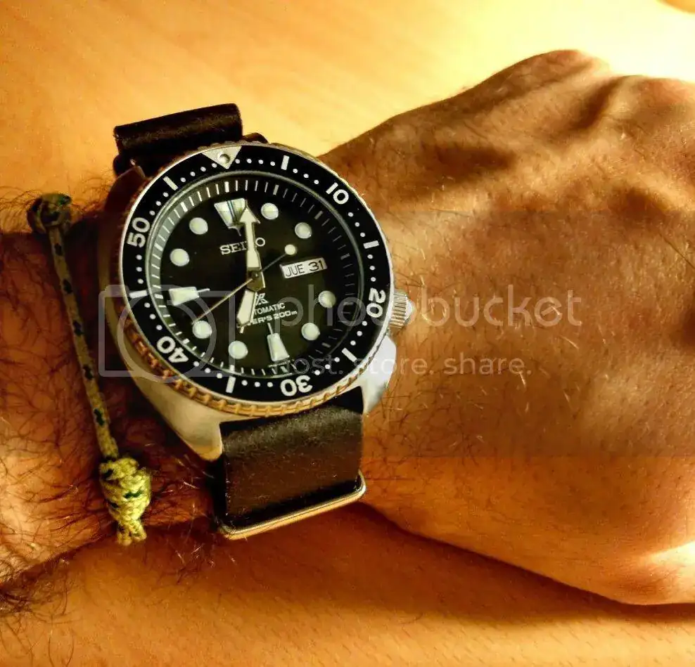 IMG_20160331_070132_HDR_1459400594885_zpsbntdiw6j.webp