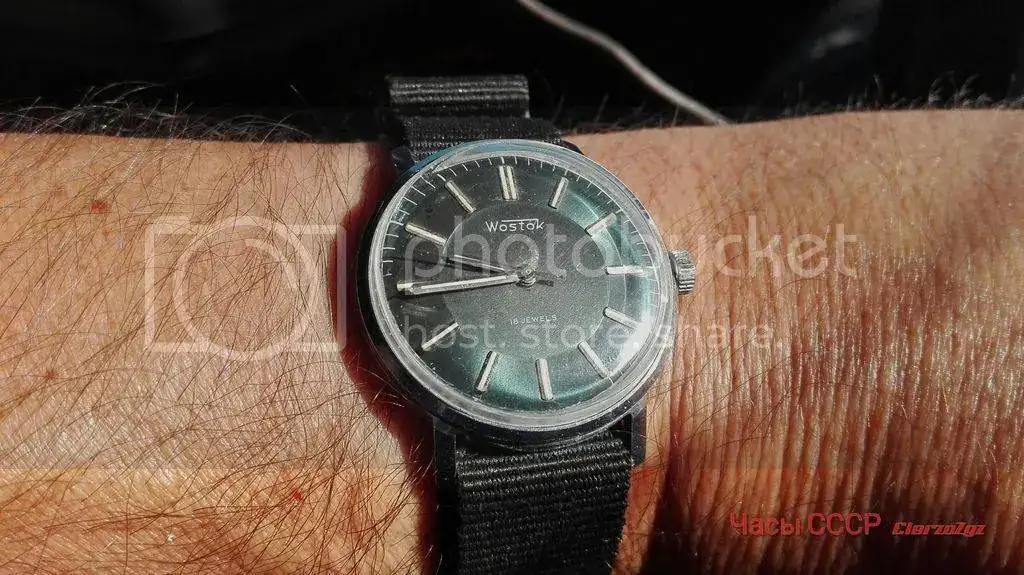 IMG_20170614_094456_wm.webp