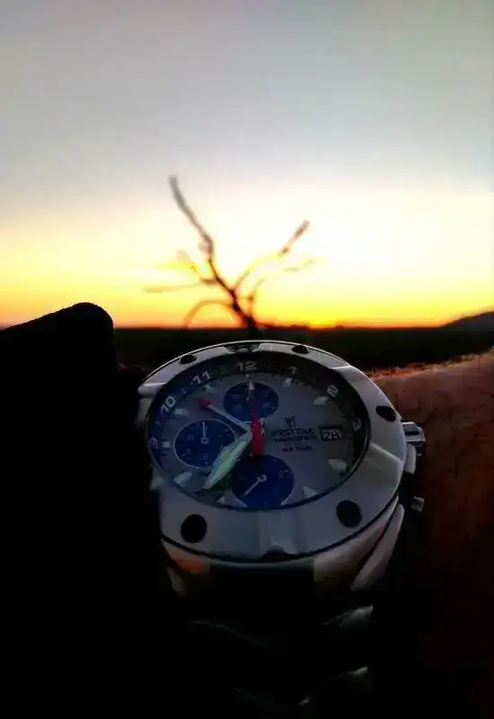 Pregunta sobre Festina para los espanoles del grupo Relojes Especiales EL foro de relojes