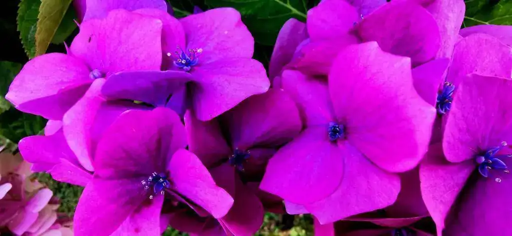 IMG_20190724_124134.webp