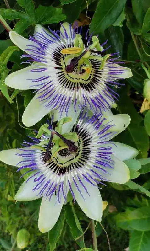 IMG_20190805_170827.webp