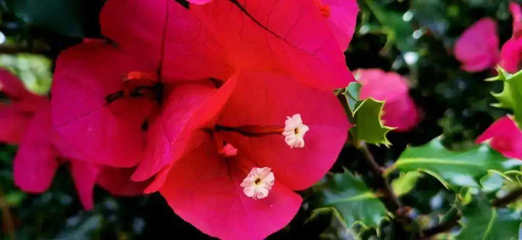 IMG_20190814_171646.webp