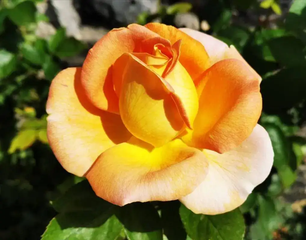 IMG_20191001_205841.webp