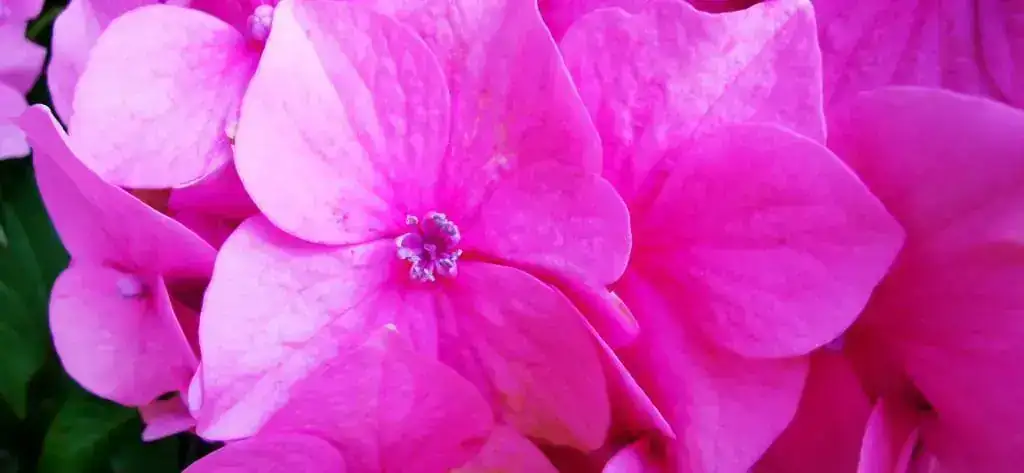 IMG_20200615_093107.webp