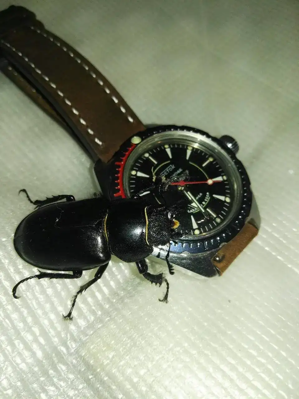 IMG_20200720_073158.webp