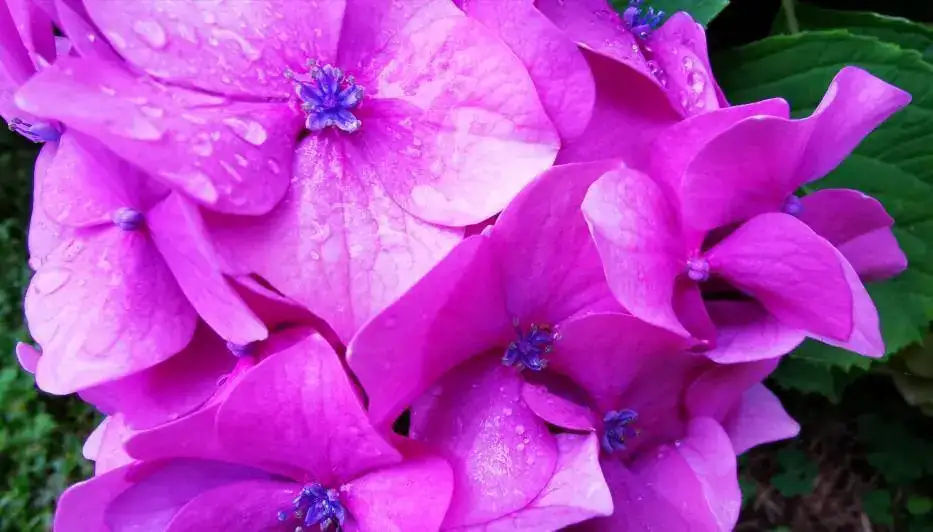 IMG_20200809_091829.webp