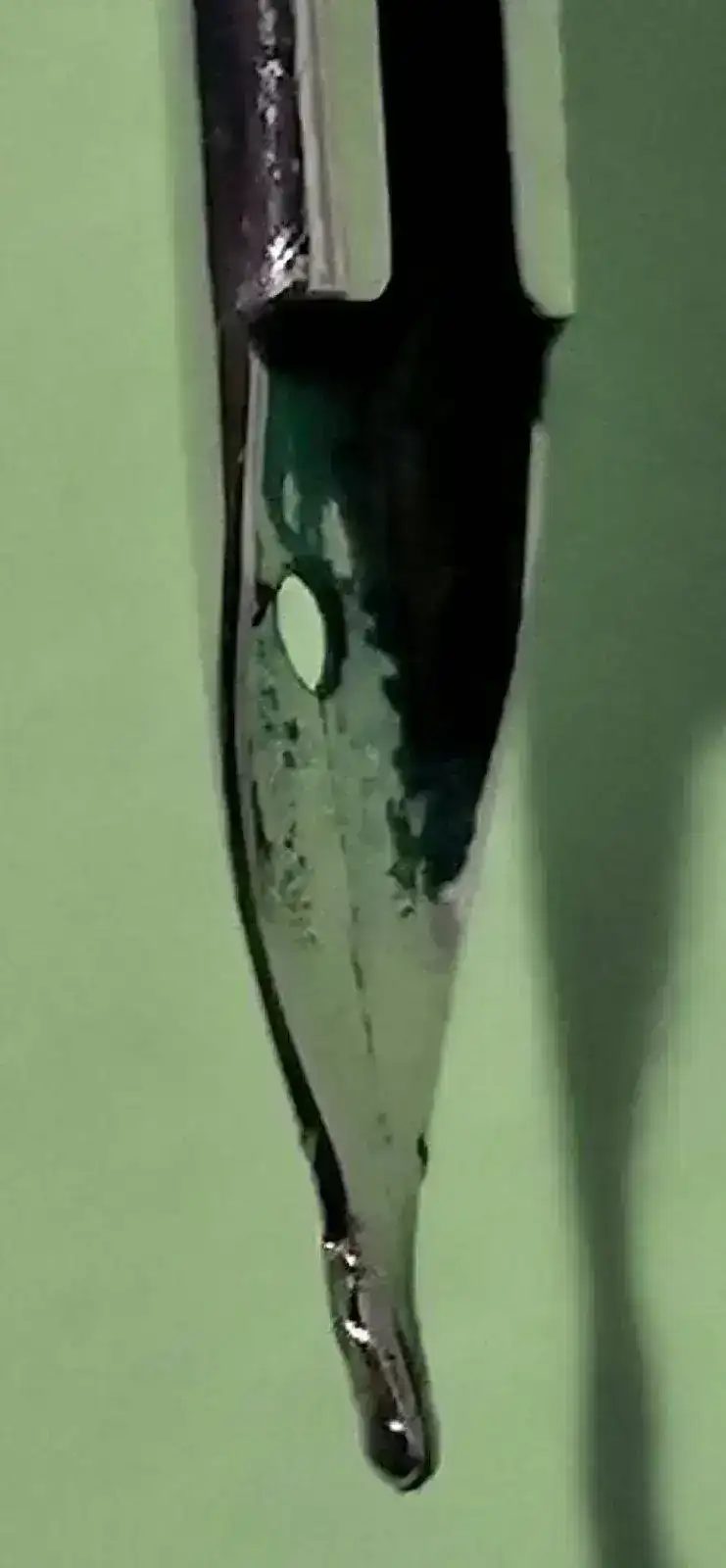 IMG_20210415_182309 (Grande).webp