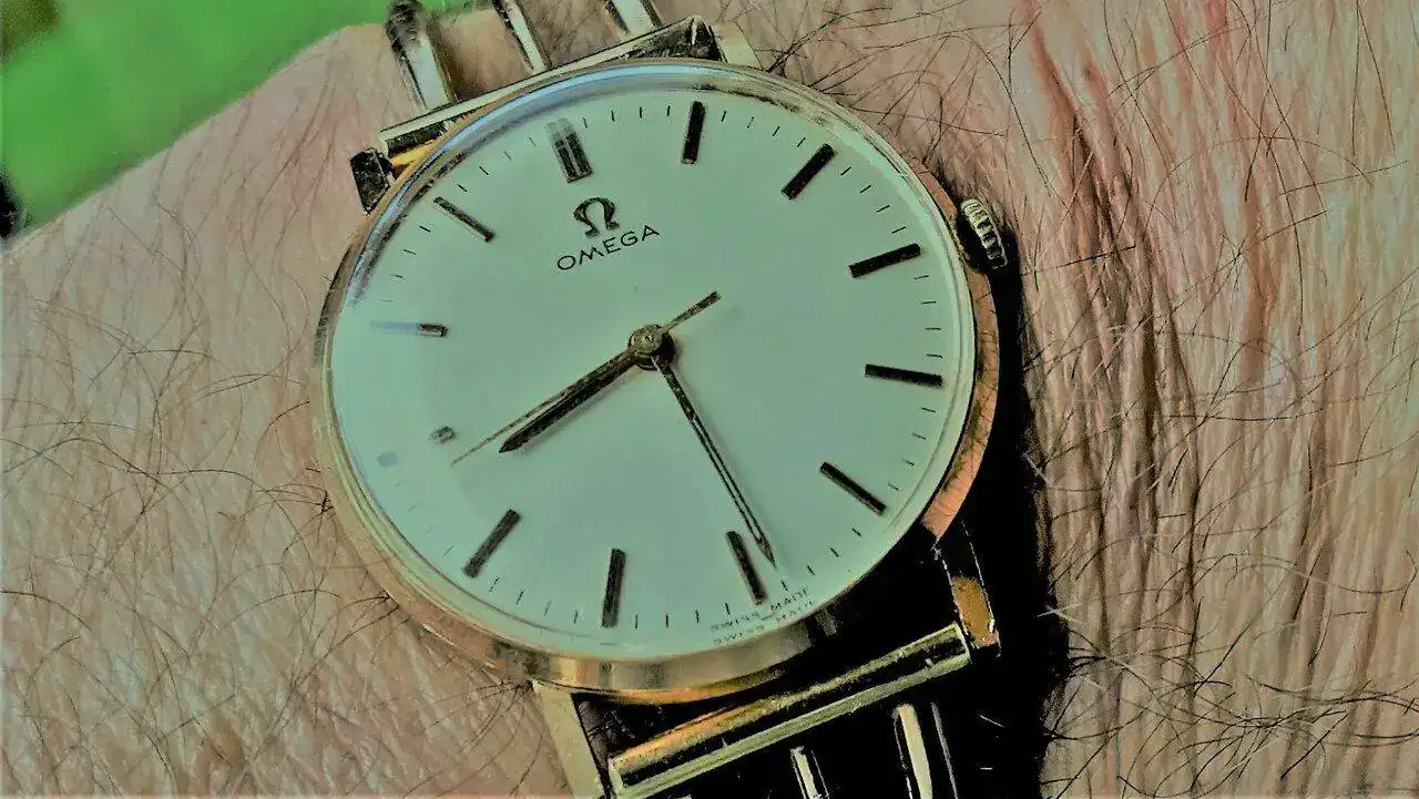 IMG_20210418_041934 (5).webp