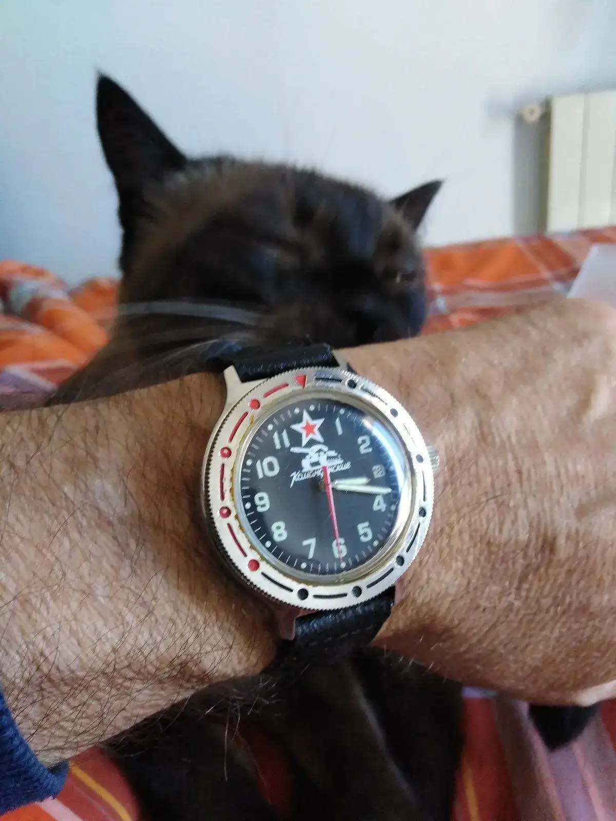 IMG_20210517_151722.webp
