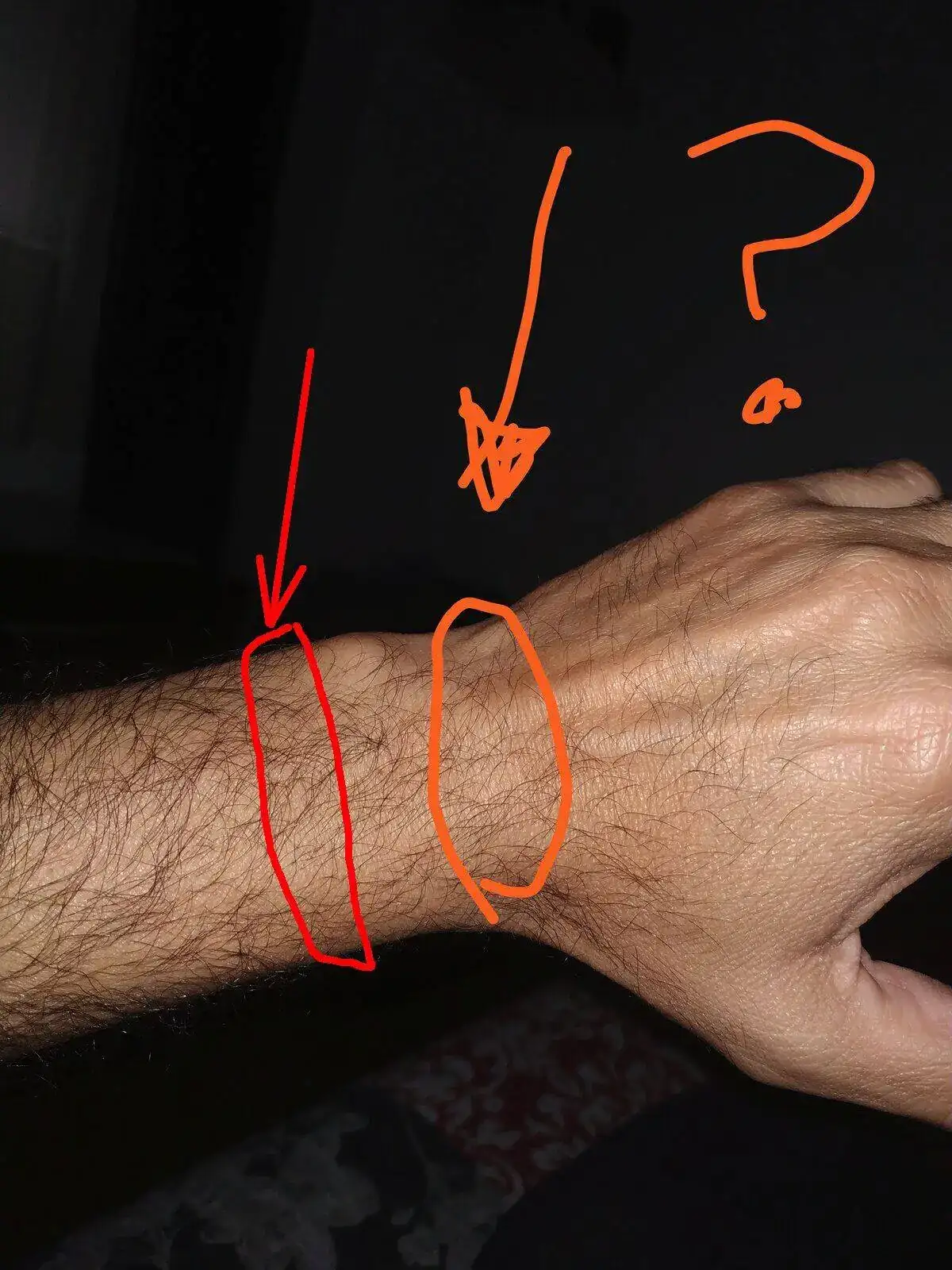IMG_20210527_144132.png