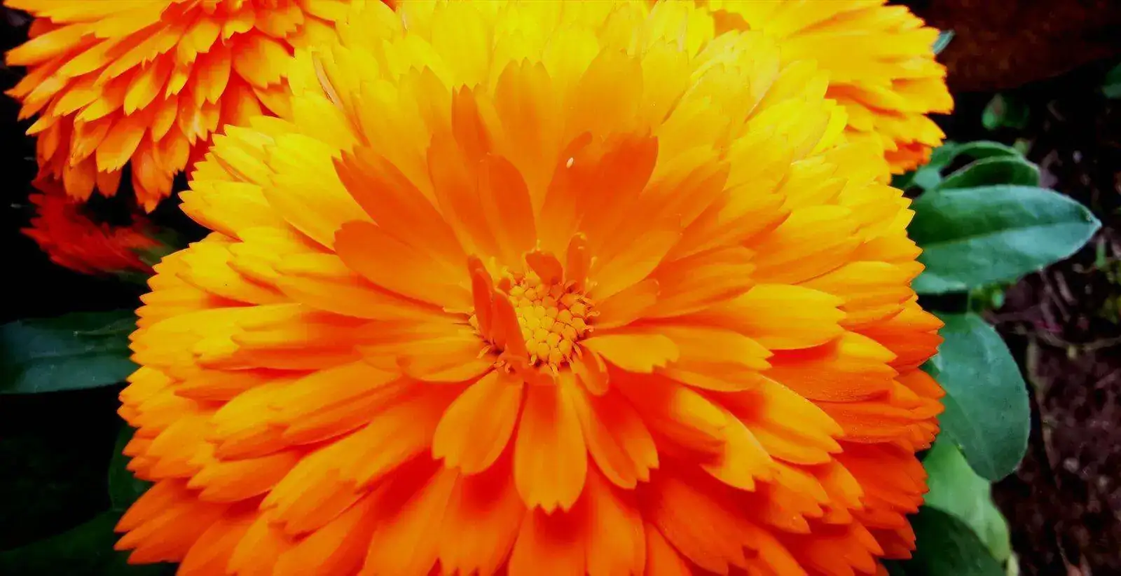 IMG_20210529_221054.webp
