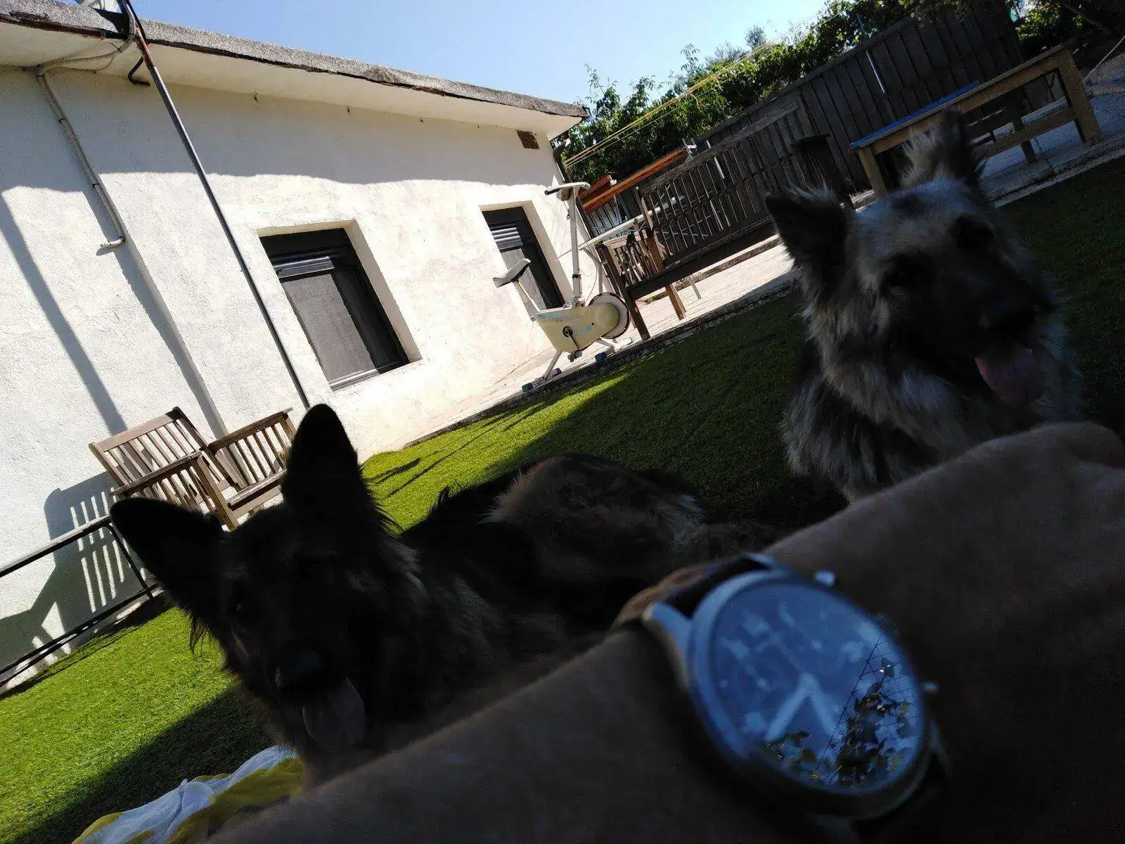 IMG_20210701_184333.webp