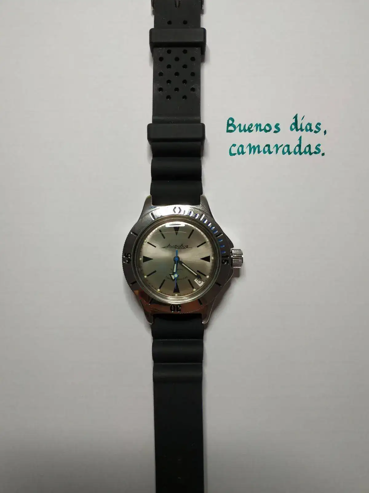 IMG_20210910_182122.webp