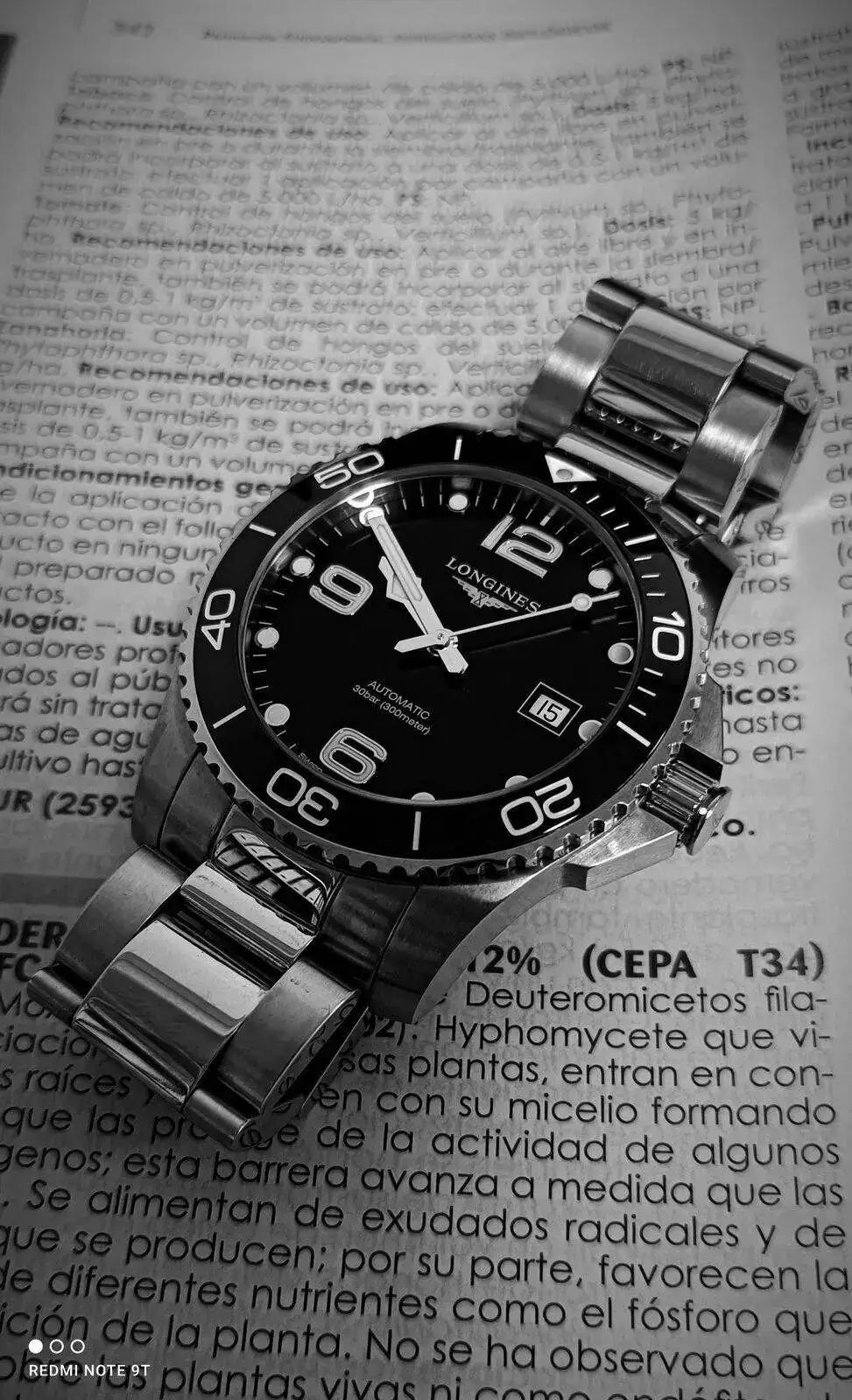 IMG_20210915_095349.webp