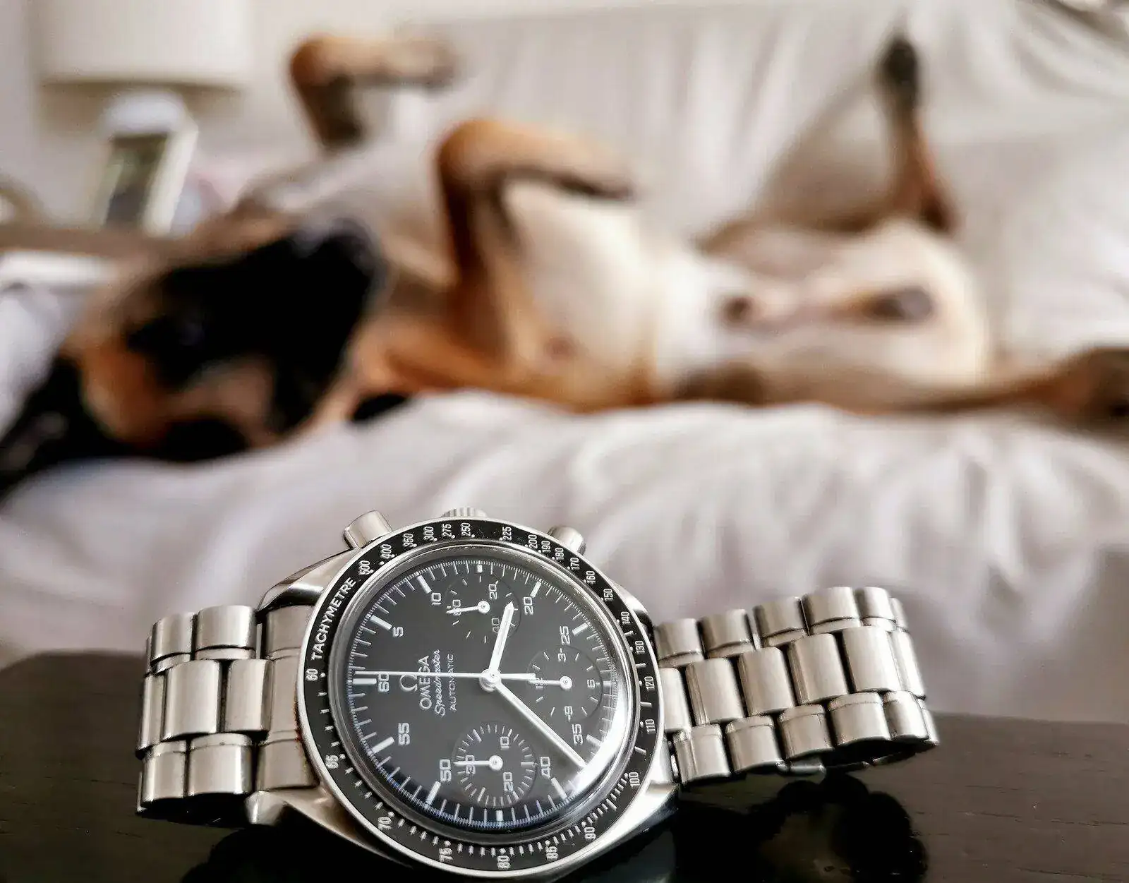 IMG_20211102_112149.webp