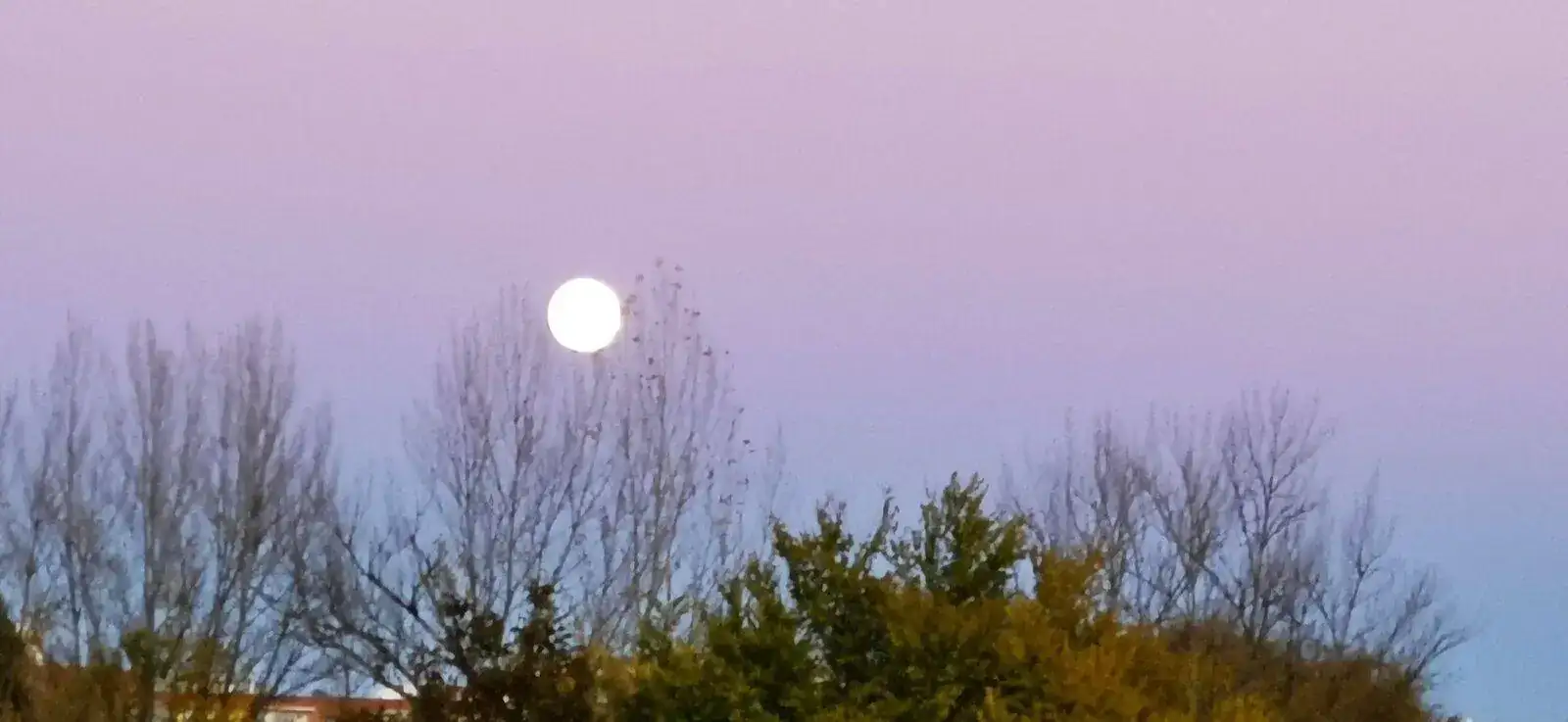 IMG_20211119_102116.webp