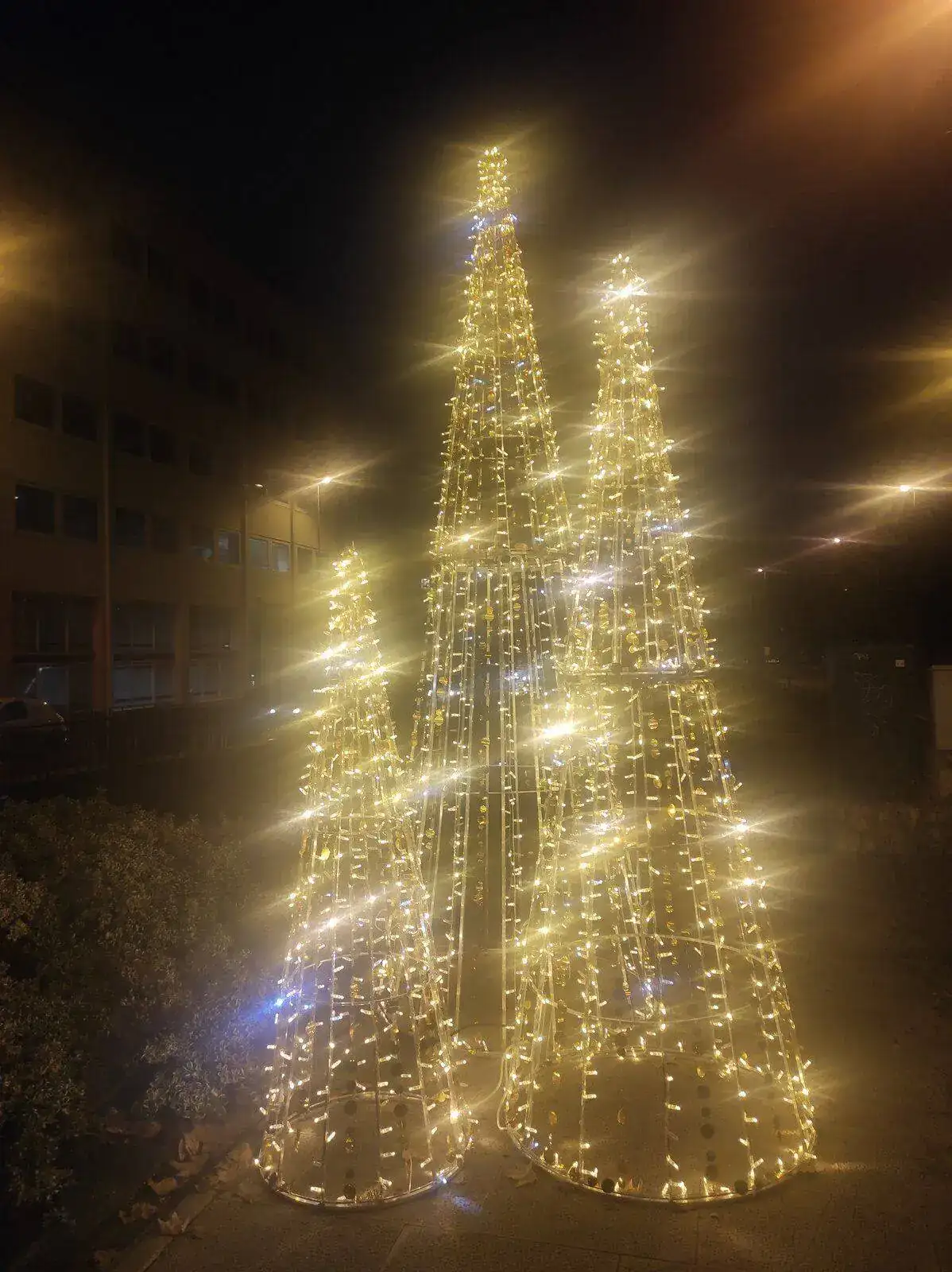 IMG_20211202_175452.webp