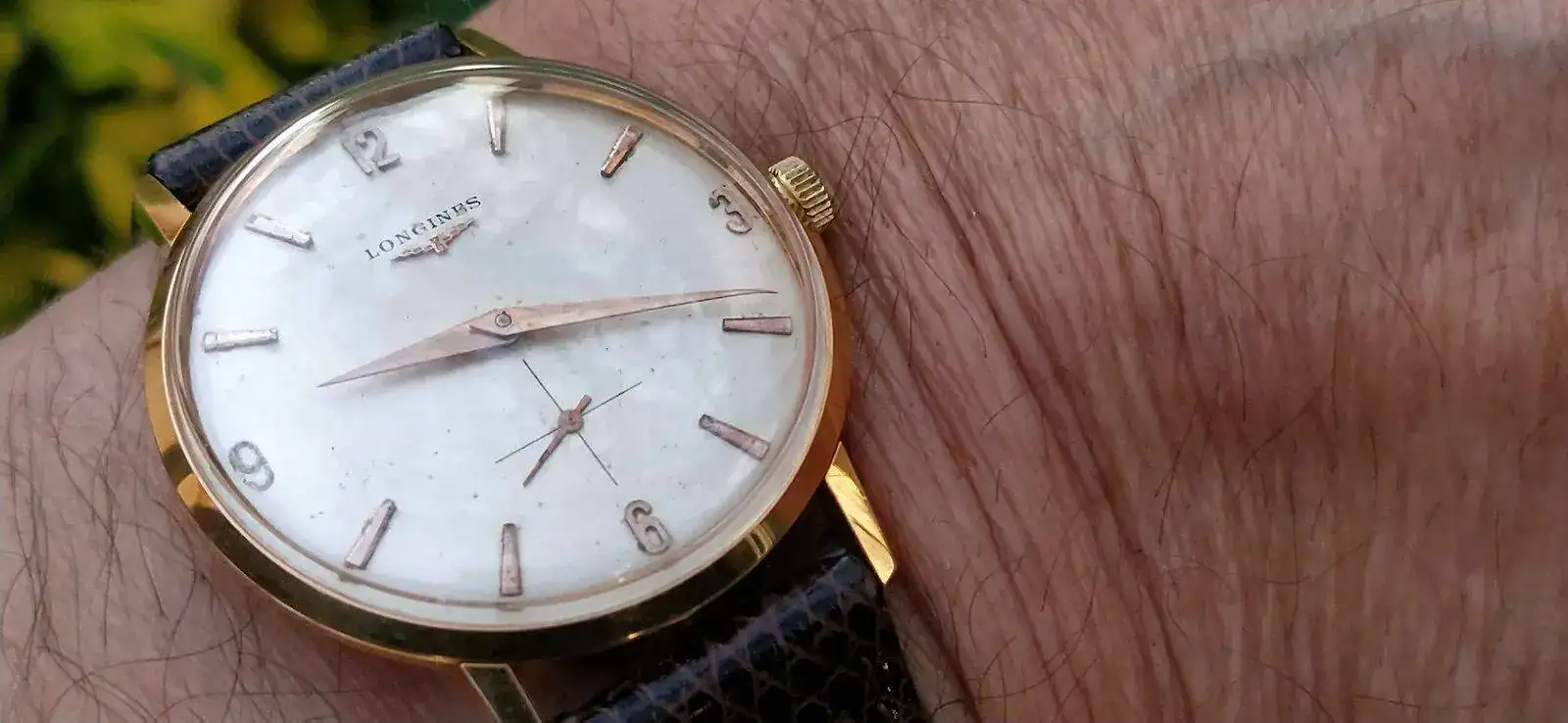 IMG_20211212_031826 (2).webp