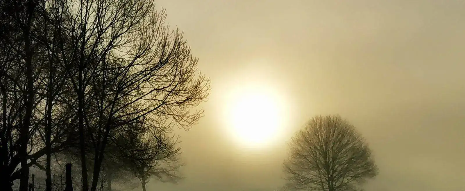 IMG_20211216_093636.webp