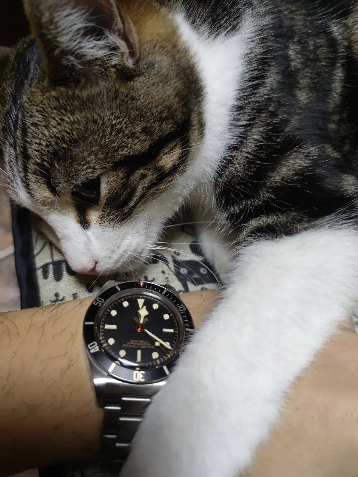 IMG_20211225_122208.webp