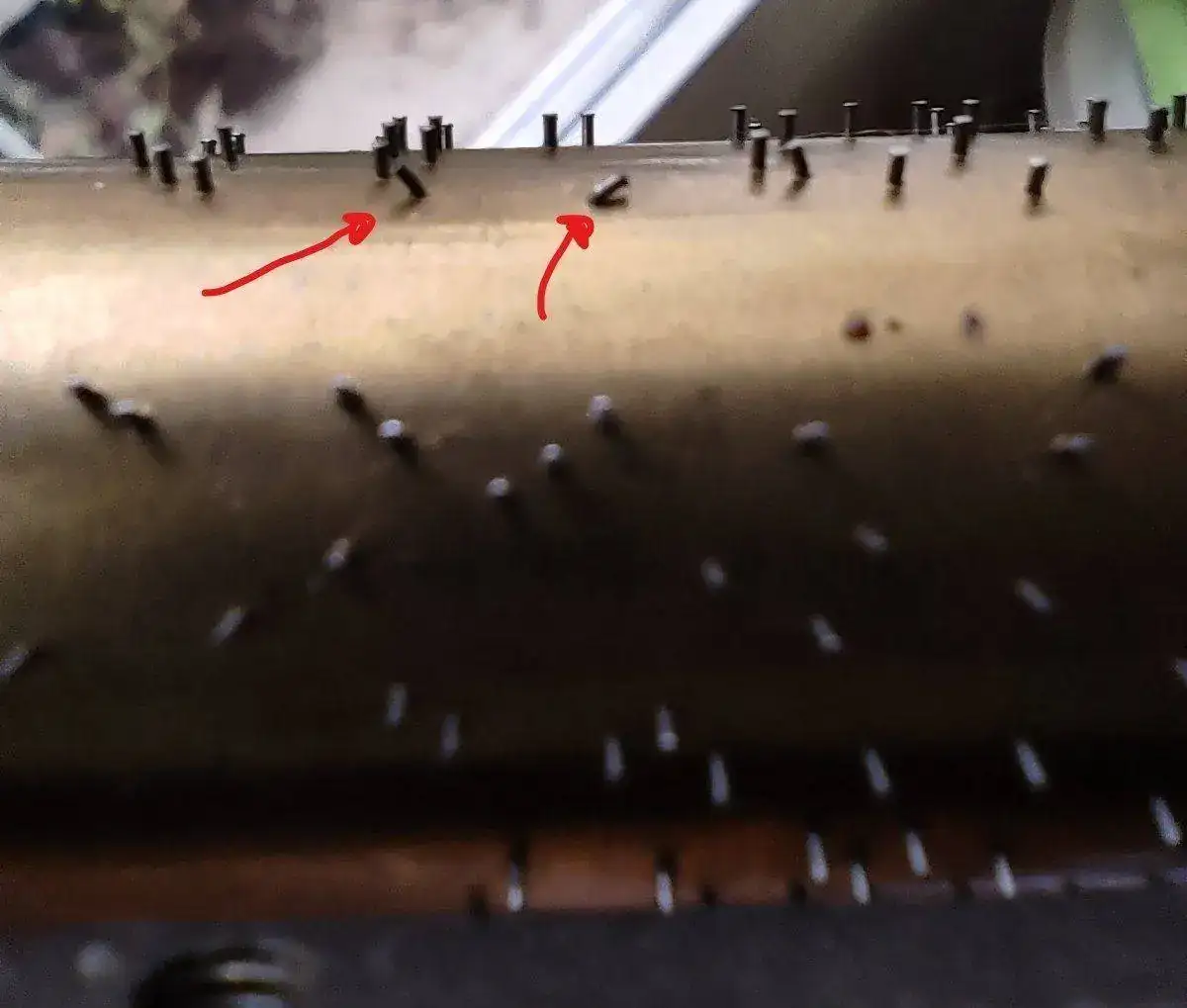 IMG_20220108_103952_LI Flecha.webp