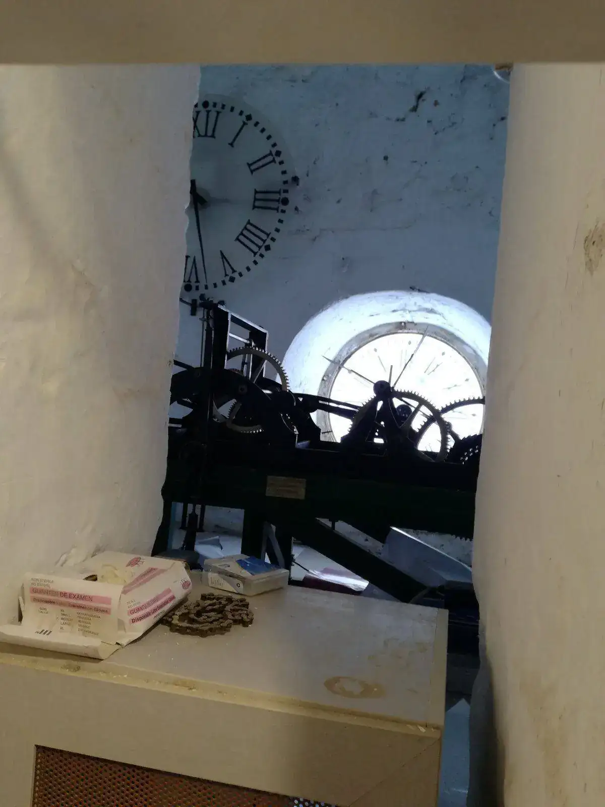 IMG_20220124_110557.webp