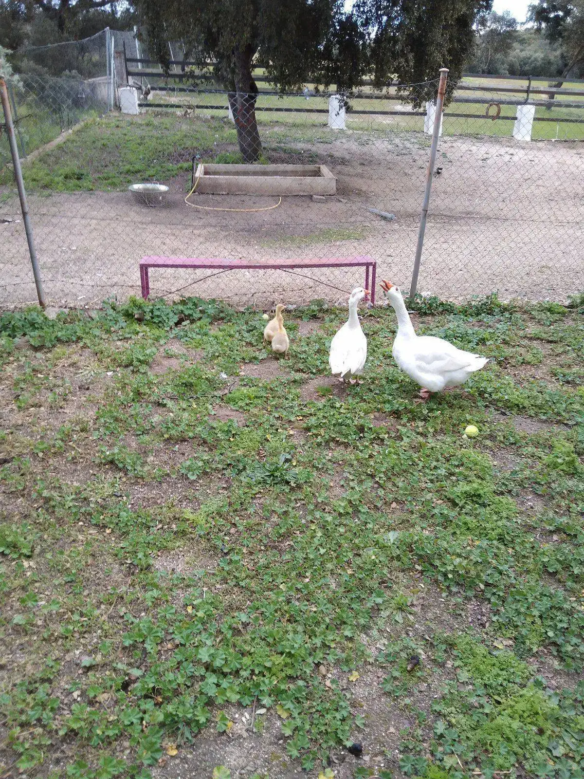 IMG_20220413_183104.webp