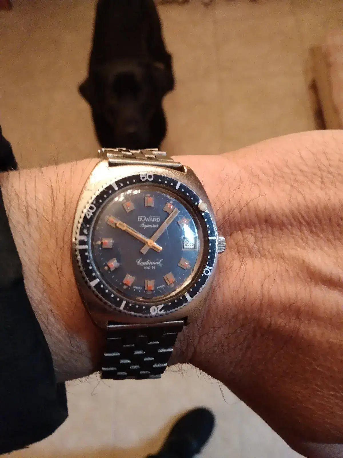 IMG_20220428_100813.webp