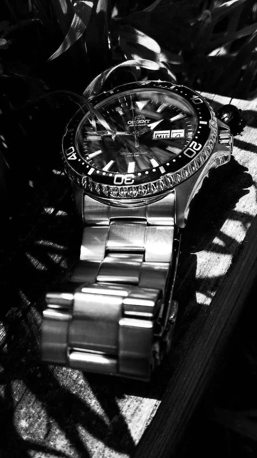 IMG_20220504_141055.webp