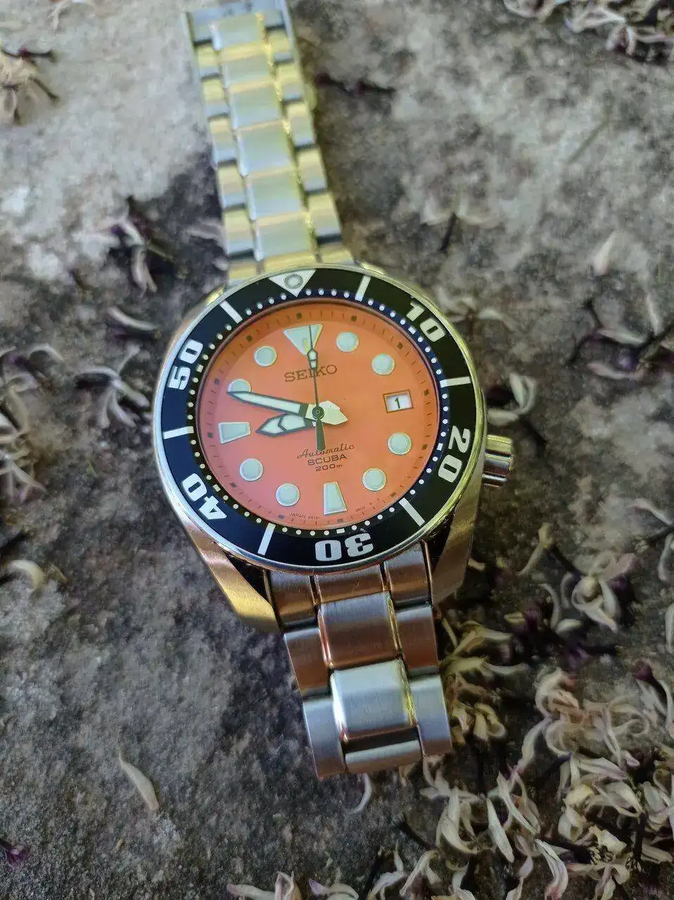 IMG_20220601_084932.webp