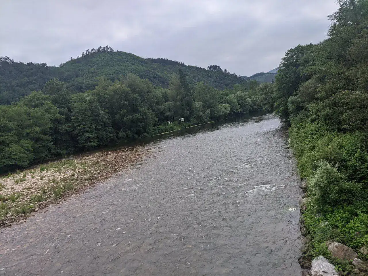 IMG_20220604_101358.jpg