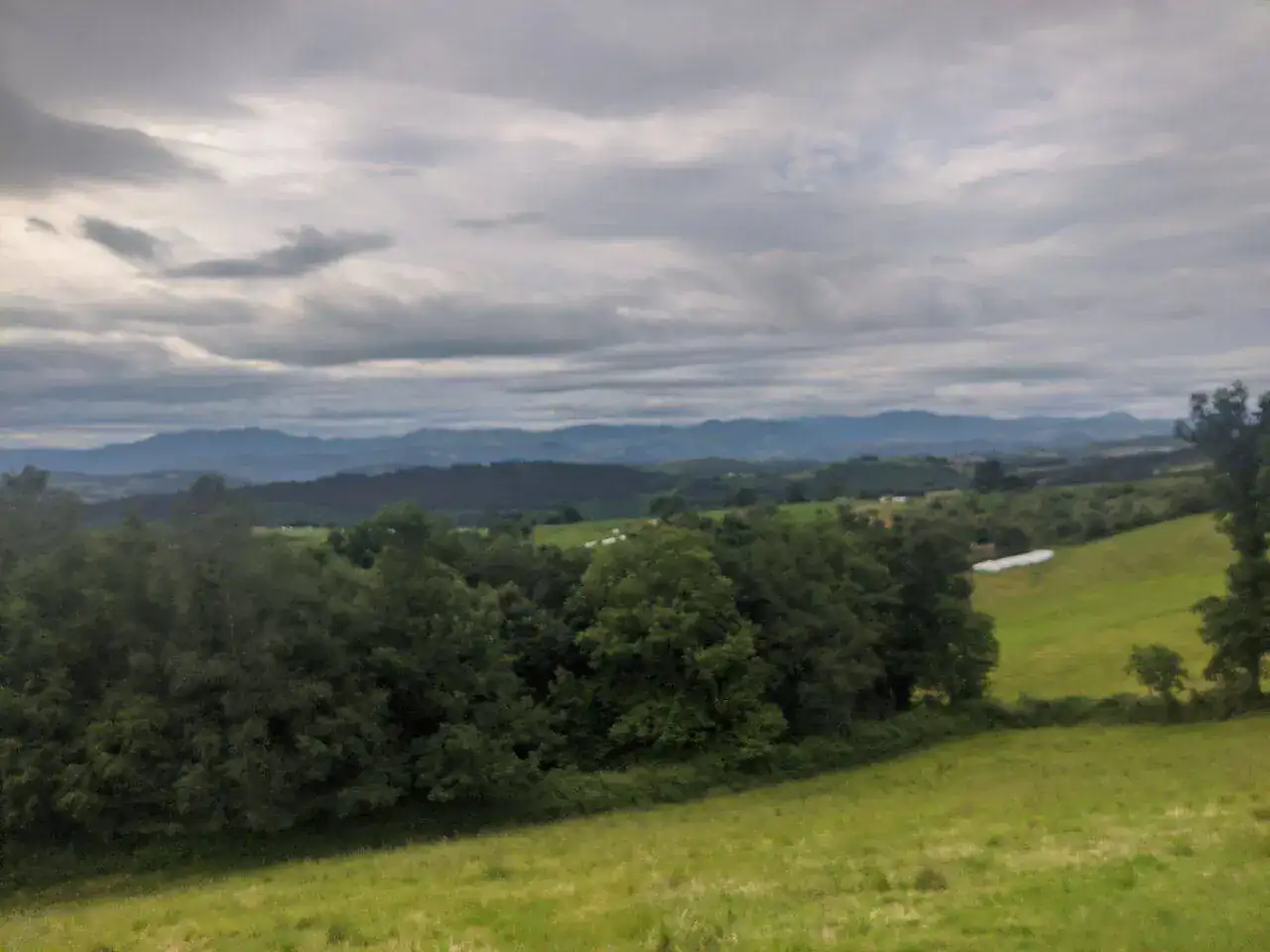 IMG_20220606_090115.webp