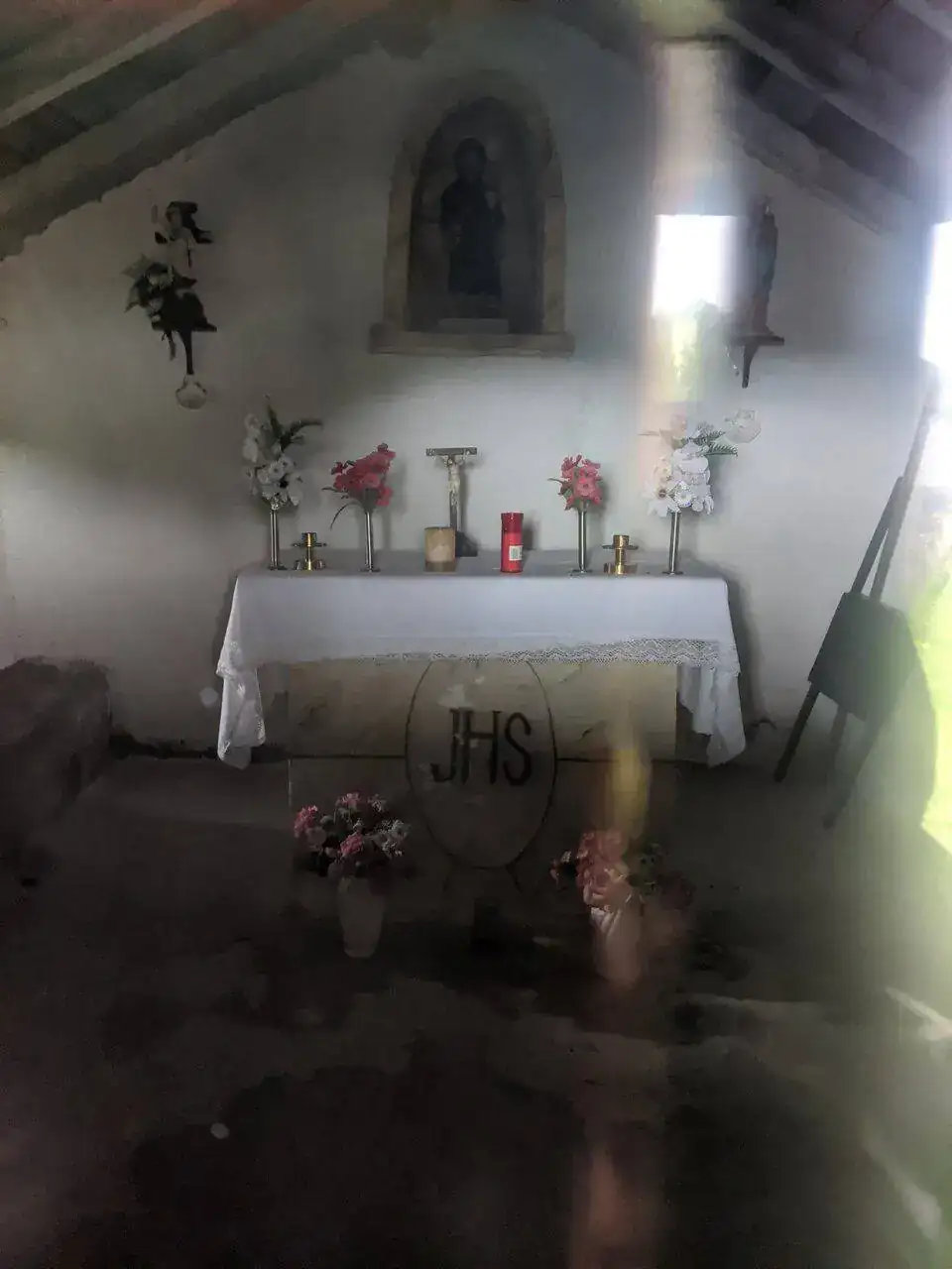 IMG_20220606_140656.webp