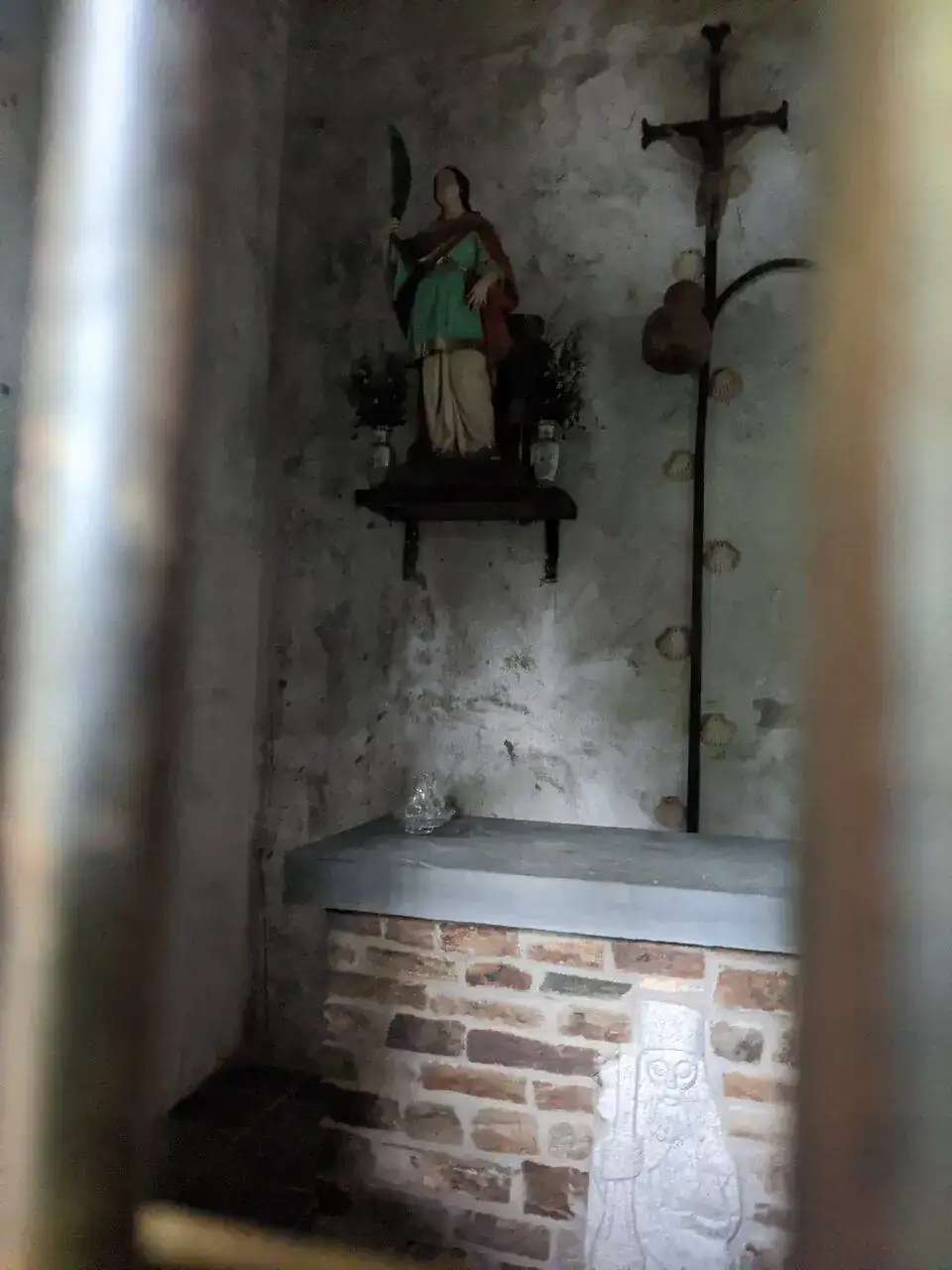 IMG_20220608_130325.jpg